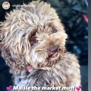 Visit Portobello - Maisie.jpg